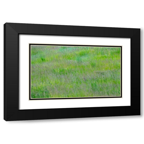 USA-Washington State-Palouse-Eastern Washington Green grass field Black Modern Wood Framed Art Print with Double Matting by Gulin, Sylvia