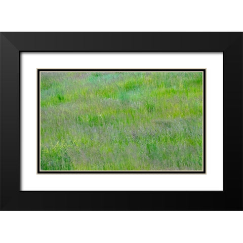 USA-Washington State-Palouse-Eastern Washington Green grass field Black Modern Wood Framed Art Print with Double Matting by Gulin, Sylvia