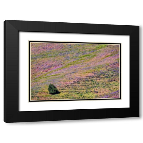 USA-Washington State-Palouse with hillside of vetch Black Modern Wood Framed Art Print with Double Matting by Gulin, Sylvia