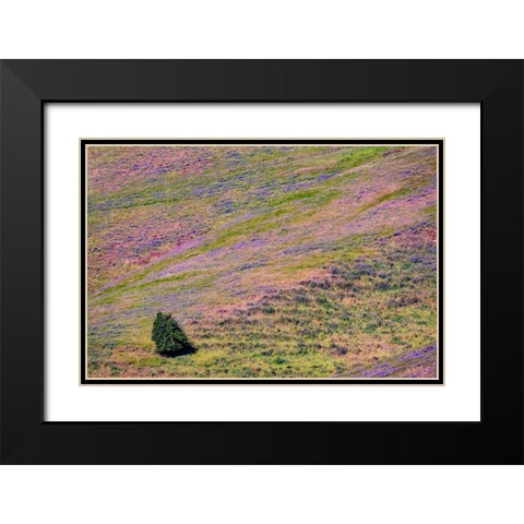 USA-Washington State-Palouse with hillside of vetch Black Modern Wood Framed Art Print with Double Matting by Gulin, Sylvia