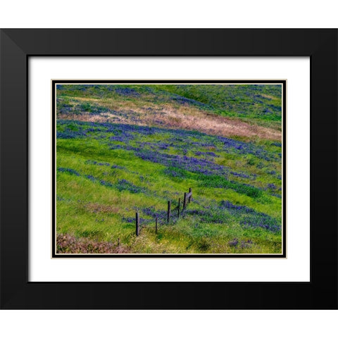 USA-Washington State-Palouse with hillside of vetch Black Modern Wood Framed Art Print with Double Matting by Gulin, Sylvia