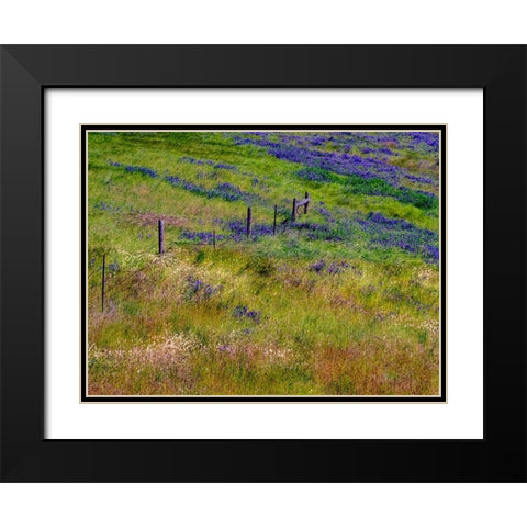 USA-Washington State-Palouse with hillside of vetch Black Modern Wood Framed Art Print with Double Matting by Gulin, Sylvia