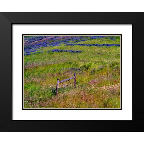 USA-Washington State-Palouse with hillside of vetch Black Modern Wood Framed Art Print with Double Matting by Gulin, Sylvia