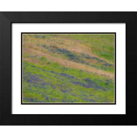 USA-Washington State-Palouse with hillside of vetch Black Modern Wood Framed Art Print with Double Matting by Gulin, Sylvia