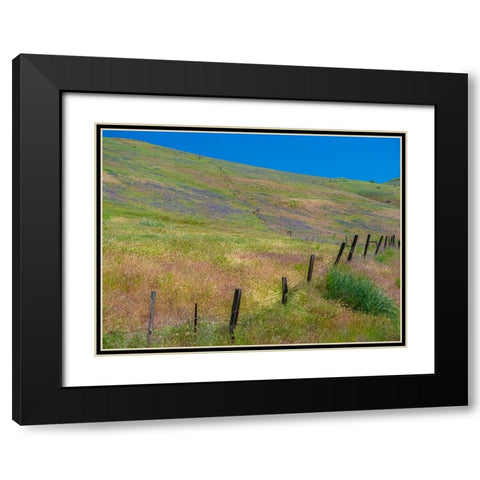 USA-Washington State-Palouse with hillside of vetch Black Modern Wood Framed Art Print with Double Matting by Gulin, Sylvia