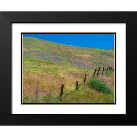 USA-Washington State-Palouse with hillside of vetch Black Modern Wood Framed Art Print with Double Matting by Gulin, Sylvia