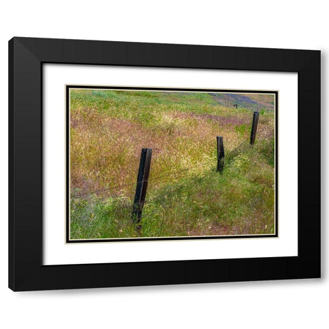 USA-Washington State-Palouse with wooden fence posts in grass field Black Modern Wood Framed Art Print with Double Matting by Gulin, Sylvia