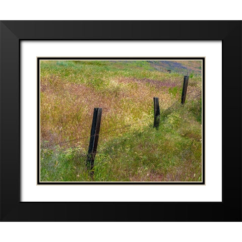 USA-Washington State-Palouse with wooden fence posts in grass field Black Modern Wood Framed Art Print with Double Matting by Gulin, Sylvia