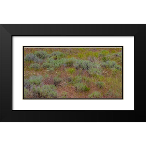USA-Washington State-Palouse-Colfax and field of sagebrush Black Modern Wood Framed Art Print with Double Matting by Gulin, Sylvia