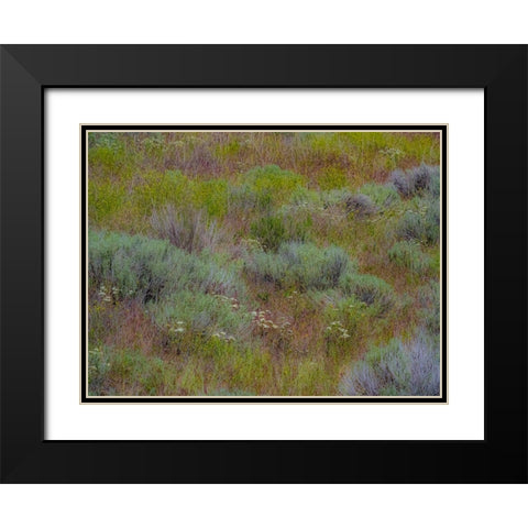 USA-Washington State-Palouse-Colfax and field of sagebrush Black Modern Wood Framed Art Print with Double Matting by Gulin, Sylvia