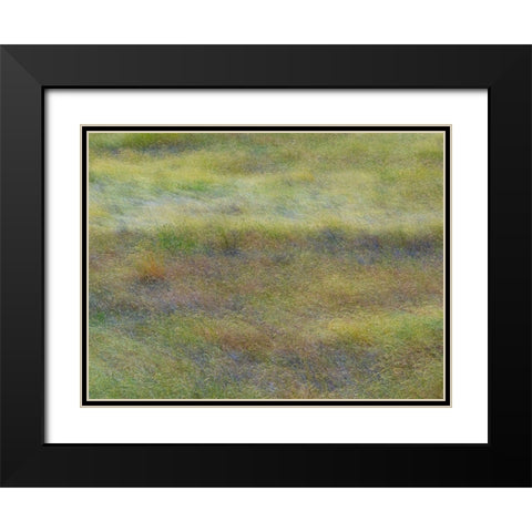 USA-Washington State-Eastern Washington field of wildflowers near Winona Black Modern Wood Framed Art Print with Double Matting by Gulin, Sylvia