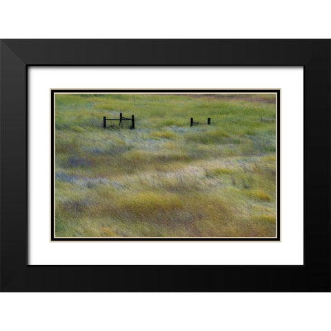 USA-Washington State-Palouse with wooden fence posts in grass field Black Modern Wood Framed Art Print with Double Matting by Gulin, Sylvia