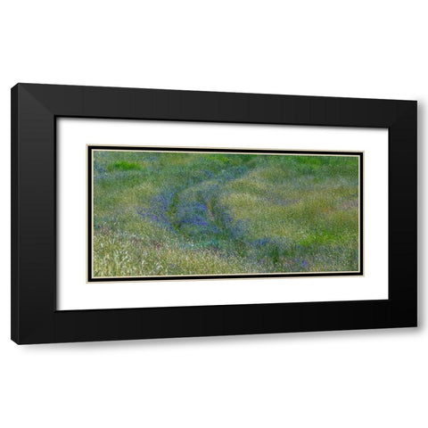 USA-Washington State-Benge Purple vetch in field Black Modern Wood Framed Art Print with Double Matting by Gulin, Sylvia