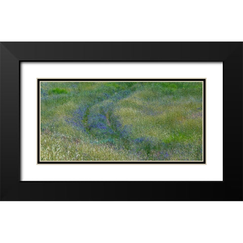 USA-Washington State-Benge Purple vetch in field Black Modern Wood Framed Art Print with Double Matting by Gulin, Sylvia