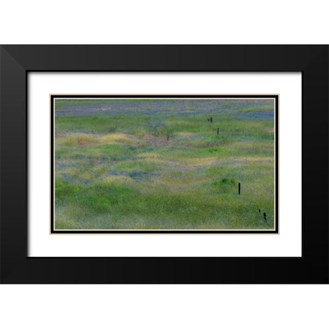USA-Washington State-Benge Purple vetch in field Black Modern Wood Framed Art Print with Double Matting by Gulin, Sylvia