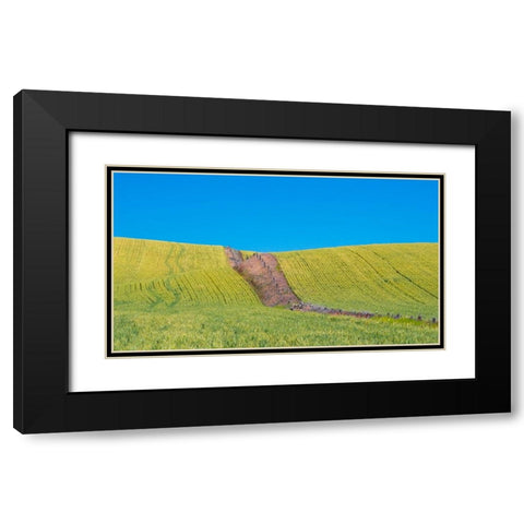 USA-Washington State-Winona winter wheat with fence line running through middle of field Black Modern Wood Framed Art Print with Double Matting by Gulin, Sylvia