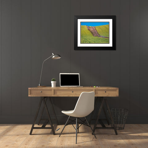 USA-Washington State-Winona winter wheat with fence line running through middle of field Black Modern Wood Framed Art Print with Double Matting by Gulin, Sylvia