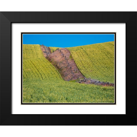 USA-Washington State-Winona winter wheat with fence line running through middle of field Black Modern Wood Framed Art Print with Double Matting by Gulin, Sylvia