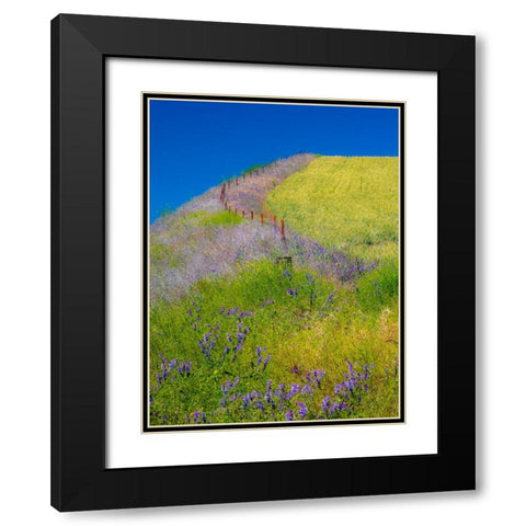 USA-Washington State-Winona winter wheat with fence line and foreground of vetch Black Modern Wood Framed Art Print with Double Matting by Gulin, Sylvia
