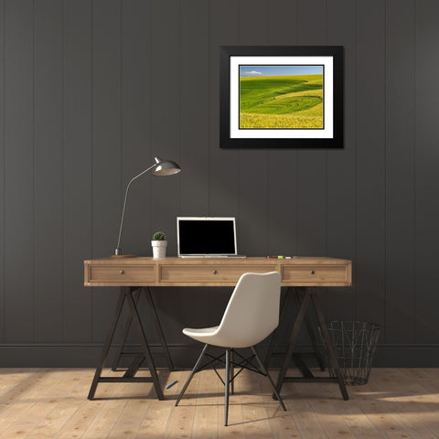 USA-Washington State-Palouse canola field with near Colfax Black Modern Wood Framed Art Print with Double Matting by Gulin, Sylvia