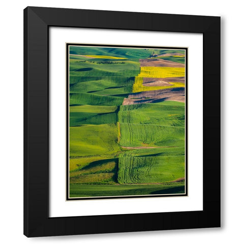 USA-Washington State-Palouse and Steptoe Butte State Park view of Wheat and Canola Black Modern Wood Framed Art Print with Double Matting by Gulin, Sylvia
