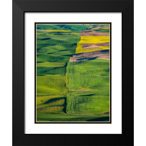 USA-Washington State-Palouse and Steptoe Butte State Park view of Wheat and Canola Black Modern Wood Framed Art Print with Double Matting by Gulin, Sylvia