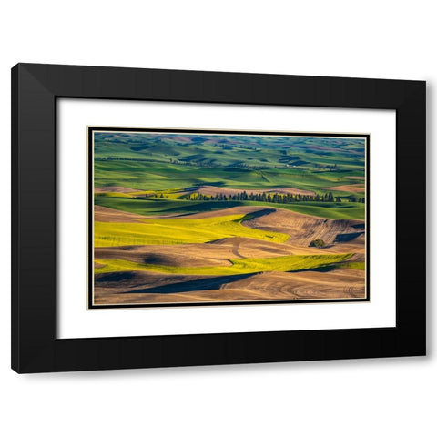 USA-Washington State-Palouse and Steptoe Butte State Park view of Wheat and Canola Black Modern Wood Framed Art Print with Double Matting by Gulin, Sylvia