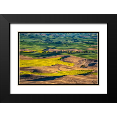 USA-Washington State-Palouse and Steptoe Butte State Park view of Wheat and Canola Black Modern Wood Framed Art Print with Double Matting by Gulin, Sylvia