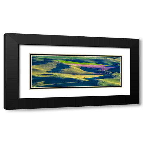 USA-Washington State-Palouse and Steptoe Butte State Park view of Wheat and Canola Black Modern Wood Framed Art Print with Double Matting by Gulin, Sylvia
