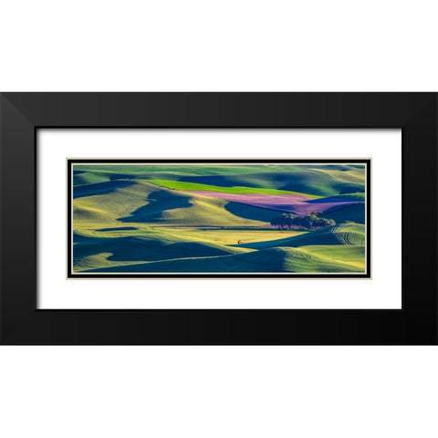 USA-Washington State-Palouse and Steptoe Butte State Park view of Wheat and Canola Black Modern Wood Framed Art Print with Double Matting by Gulin, Sylvia