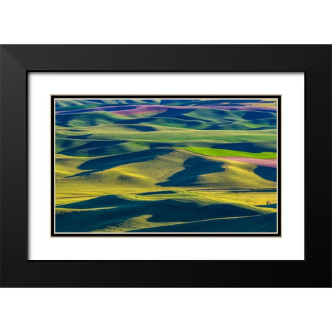 USA-Washington State-Palouse and Steptoe Butte State Park view of Wheat and Canola Black Modern Wood Framed Art Print with Double Matting by Gulin, Sylvia