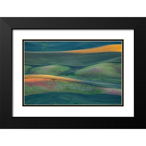 USA-Washington State-Palouse and Steptoe Butte State Park view of Wheat fields last light Black Modern Wood Framed Art Print with Double Matting by Gulin, Sylvia