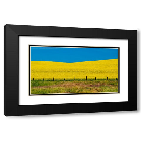 USA-Washington State-Palouse and springtime crop of Canola Black Modern Wood Framed Art Print with Double Matting by Gulin, Sylvia
