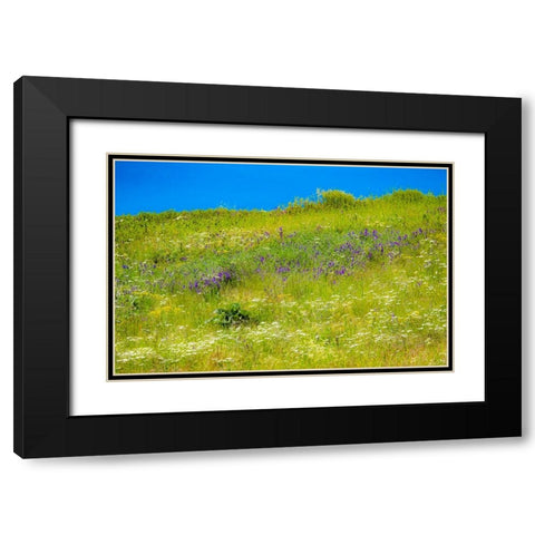 USA-Washington State-Palouse grass fields that were not being farmed Black Modern Wood Framed Art Print with Double Matting by Gulin, Sylvia