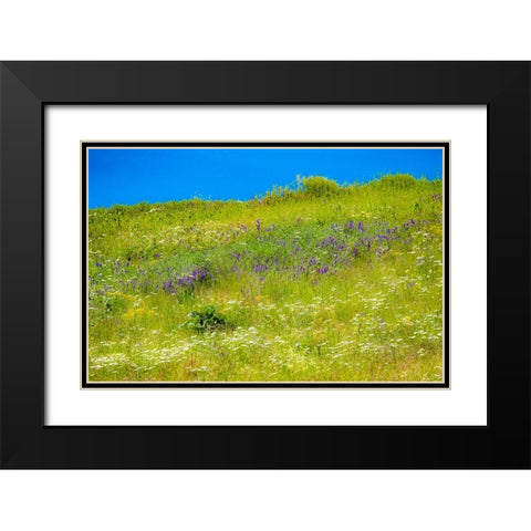 USA-Washington State-Palouse grass fields that were not being farmed Black Modern Wood Framed Art Print with Double Matting by Gulin, Sylvia
