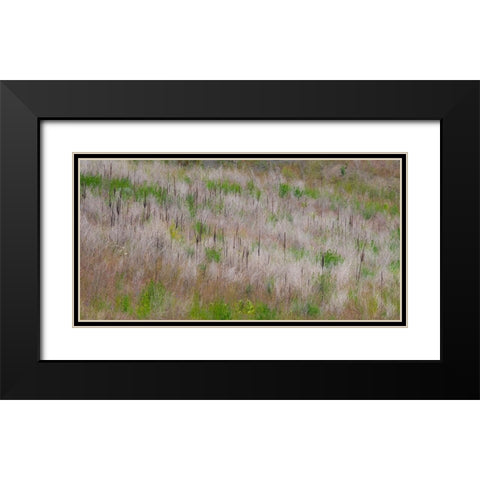 USA-Washington State-Palouse grass fields that were not being farmed Black Modern Wood Framed Art Print with Double Matting by Gulin, Sylvia