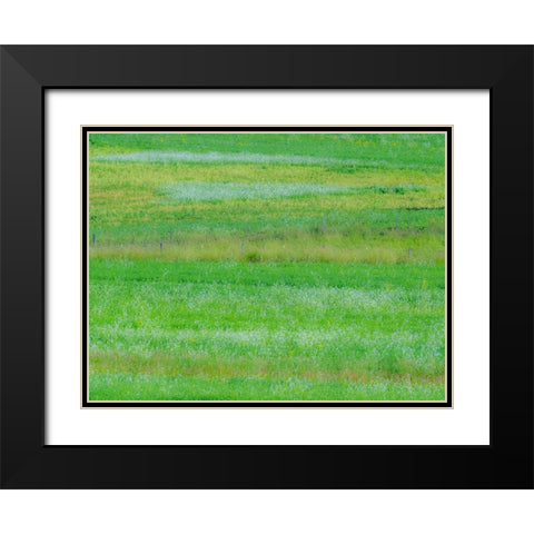 USA-Washington State-Palouse grass fields that were not being farmed Black Modern Wood Framed Art Print with Double Matting by Gulin, Sylvia