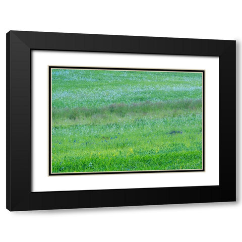 USA-Washington State-Palouse grass fields that were not being farmed Black Modern Wood Framed Art Print with Double Matting by Gulin, Sylvia