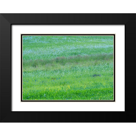 USA-Washington State-Palouse grass fields that were not being farmed Black Modern Wood Framed Art Print with Double Matting by Gulin, Sylvia