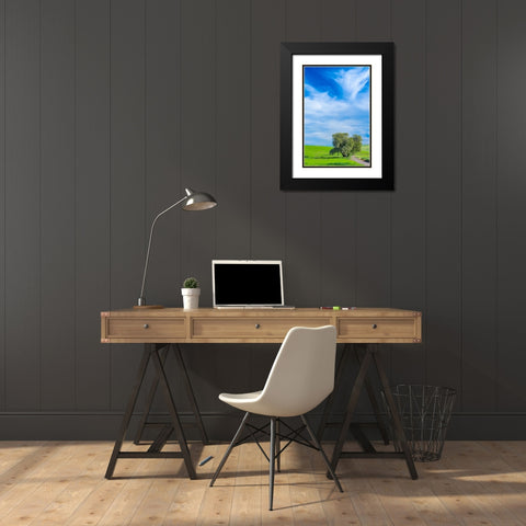 USA-Washington State-Palouse with wheat fields and lone Cottonwood tree Black Modern Wood Framed Art Print with Double Matting by Gulin, Sylvia
