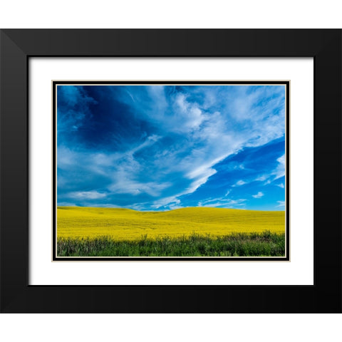 USA-Washington State-Palouse and springtime crop of Canola Black Modern Wood Framed Art Print with Double Matting by Gulin, Sylvia