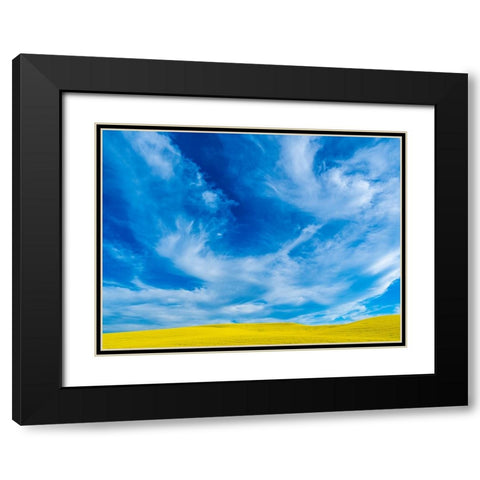 USA-Washington State-Palouse and springtime crop of Canola Black Modern Wood Framed Art Print with Double Matting by Gulin, Sylvia