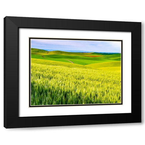 USA-Washington State-Palouse overview of wheat fields from above Black Modern Wood Framed Art Print with Double Matting by Gulin, Sylvia