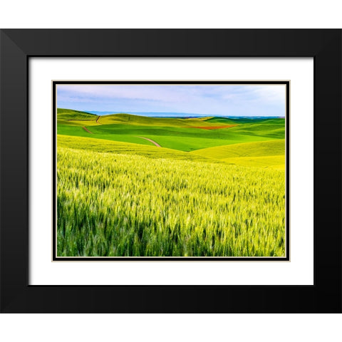 USA-Washington State-Palouse overview of wheat fields from above Black Modern Wood Framed Art Print with Double Matting by Gulin, Sylvia