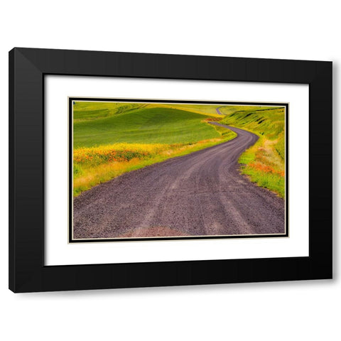 USA-Washington State-Palouse with gravel curved road edged with Poppies and Yellow Canola Black Modern Wood Framed Art Print with Double Matting by Gulin, Sylvia