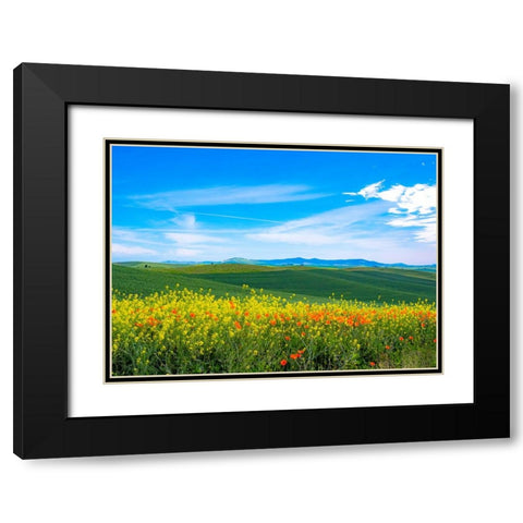 USA-Washington State-Palouse red poppies and yellow canola with landscape of wheat fields Black Modern Wood Framed Art Print with Double Matting by Gulin, Sylvia