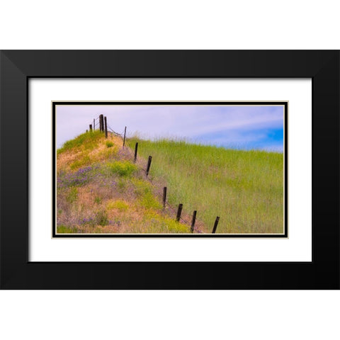 USA-Washington State-Palouse fence line near Winona with vetch and grasses Black Modern Wood Framed Art Print with Double Matting by Gulin, Sylvia