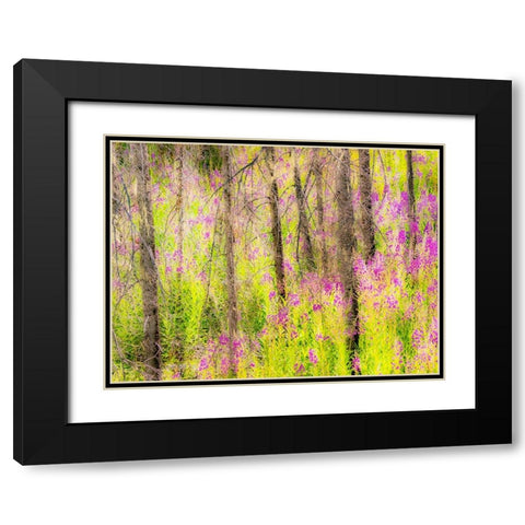USA-Washington State-burnt forest and fire weed along Lake Cle Elum Washington Cascades Black Modern Wood Framed Art Print with Double Matting by Gulin, Sylvia