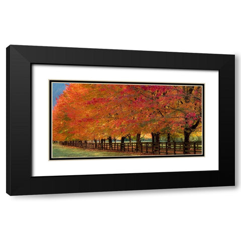 USA-Washington State-North Bend fence and tree lined driveway in fall colors Black Modern Wood Framed Art Print with Double Matting by Gulin, Sylvia
