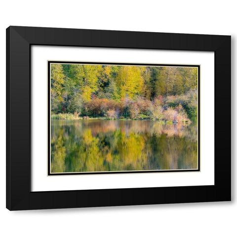 USA-Washington State-Easton and fall colors of Cottonwoods in small pond Black Modern Wood Framed Art Print with Double Matting by Gulin, Sylvia